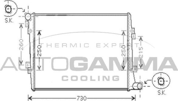 Autogamma 104245 - Радиатор, охлаждане на двигателя vvparts.bg