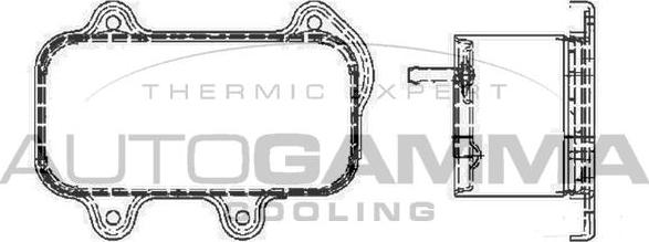 Autogamma 104792 - Маслен радиатор, двигателно масло vvparts.bg