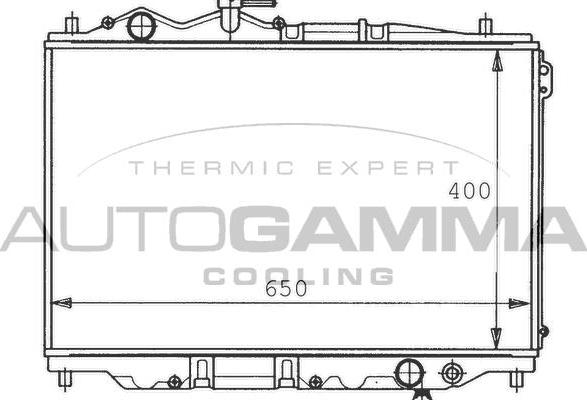 Autogamma 100498 - Радиатор, охлаждане на двигателя vvparts.bg