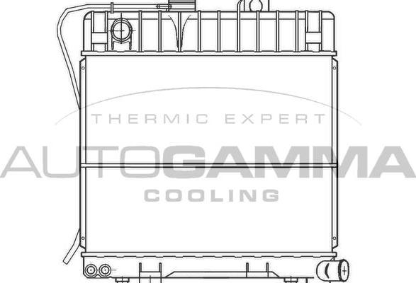 Autogamma 100093 - Радиатор, охлаждане на двигателя vvparts.bg