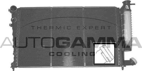 Autogamma 100756 - Радиатор, охлаждане на двигателя vvparts.bg