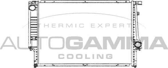 Autogamma 101982 - Радиатор, охлаждане на двигателя vvparts.bg