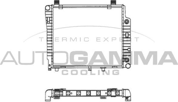 Autogamma 101319 - Радиатор, охлаждане на двигателя vvparts.bg