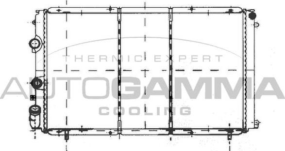 Autogamma 103002 - Радиатор, охлаждане на двигателя vvparts.bg