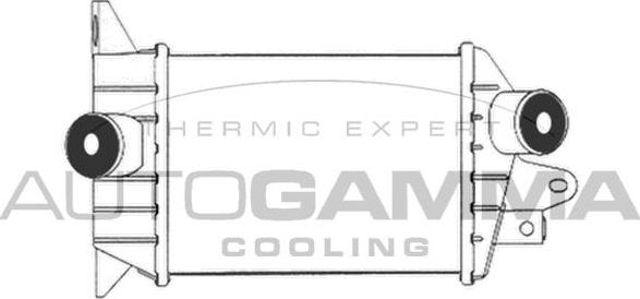 Autogamma 102404 - Интеркулер (охладител за въздуха на турбината) vvparts.bg