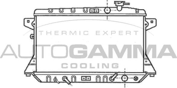 Autogamma 102117 - Радиатор, охлаждане на двигателя vvparts.bg