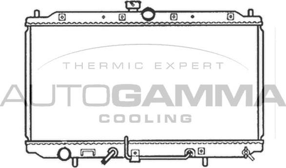Autogamma 102170 - Радиатор, охлаждане на двигателя vvparts.bg