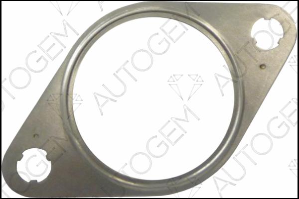 AUTOGEM CEG5630 - Уплътнение, AGR-клапан vvparts.bg