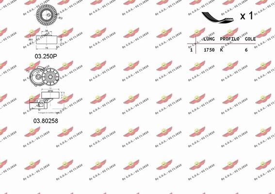 Autokit 06.0031 - Комплект пистов ремък vvparts.bg