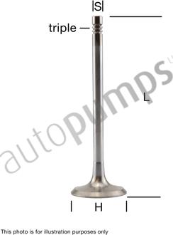 Autopumps UK AEV5509 - Изпускателен клапан vvparts.bg