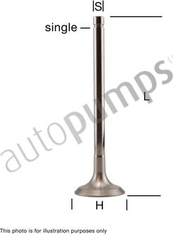 Autopumps UK AIV1021 - Всмукателен клапан vvparts.bg