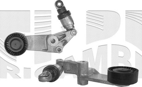 Autoteam A02436 - Ремъчен обтегач, пистов ремък vvparts.bg