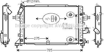 Ava Quality Cooling OL 2467 - Радиатор, охлаждане на двигателя vvparts.bg