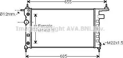 Ava Quality Cooling OL2184 - Радиатор, охлаждане на двигателя vvparts.bg