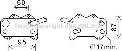 Ava Quality Cooling VW3329 - Маслен радиатор, двигателно масло vvparts.bg