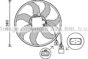 Ava Quality Cooling VW7537 - Вентилатор, охлаждане на двигателя vvparts.bg