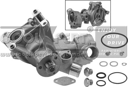 BBR Automotive 001-60-02119 - Водна помпа vvparts.bg