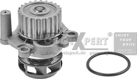 BBR Automotive 002-60-00161 - Водна помпа vvparts.bg