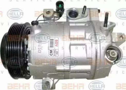 BEHR HELLA Service 8FK 351 001-281 - Компресор, климатизация vvparts.bg