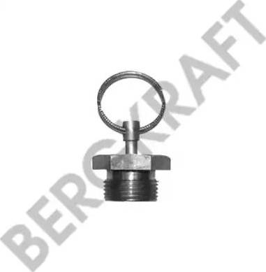 BergKraft BK1401801AS - Клапан за източване на водата vvparts.bg