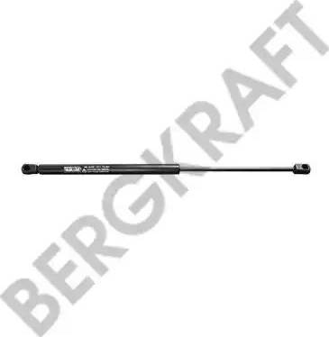 BergKraft BK2939121SP - Газов амортисьор, преден панел vvparts.bg