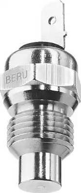 BorgWarner (BERU) ST049 - Датчик, температура на охладителната течност vvparts.bg