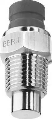 BorgWarner (BERU) ST046 - Датчик, температура на охладителната течност vvparts.bg