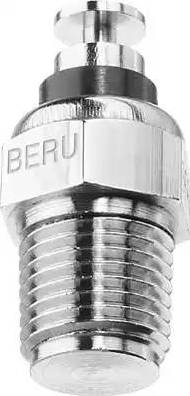 BorgWarner (BERU) ST054 - Датчик, температура на охладителната течност vvparts.bg