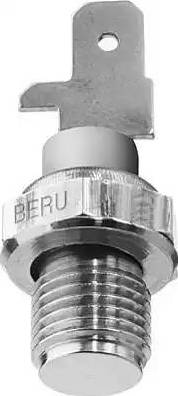 BorgWarner (BERU) ST050 - Датчик, температура на охладителната течност vvparts.bg