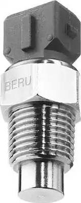 BorgWarner (BERU) ST058 - Датчик, температура на охладителната течност vvparts.bg