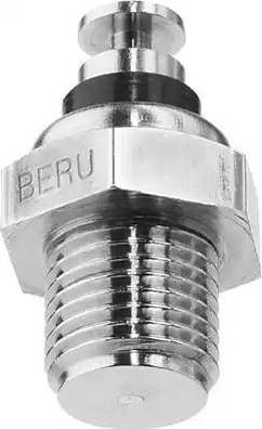 BorgWarner (BERU) ST053 - Датчик, температура на охладителната течност vvparts.bg