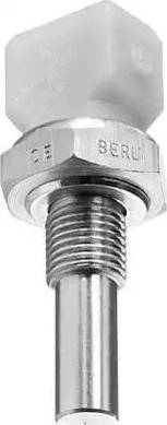 BorgWarner (BERU) ST013 - Датчик, температура на охладителната течност vvparts.bg
