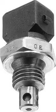 BorgWarner (BERU) ST036 - Датчик, температура на входящия въздух vvparts.bg