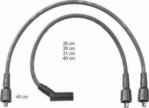 BorgWarner (BERU) ZEF1043 - Комплект запалителеи кабели vvparts.bg