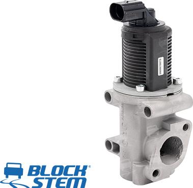 BlockStem EGR0004 - AGR-Клапан vvparts.bg