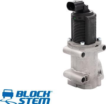 BlockStem EGR0036 - AGR-Клапан vvparts.bg