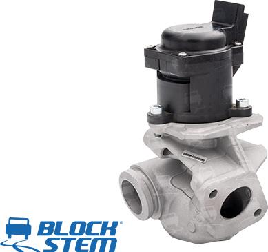 BlockStem EGR0033 - AGR-Клапан vvparts.bg