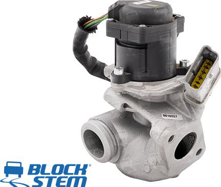 BlockStem EGR0020 - AGR-Клапан vvparts.bg