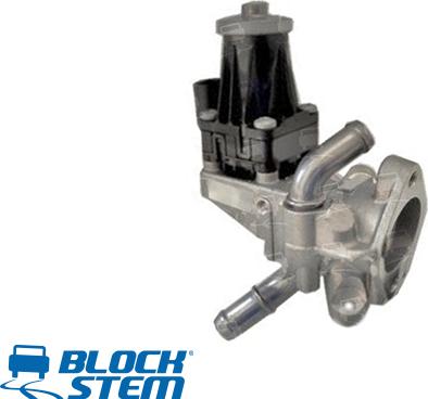 BlockStem EGR0325 - AGR-Клапан vvparts.bg