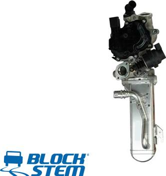 BlockStem EGR0256 - AGR-Клапан vvparts.bg