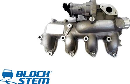 BlockStem EGR0220 - AGR-Клапан vvparts.bg