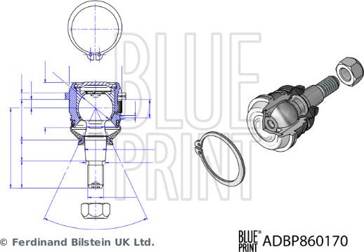 Blue Print ADBP860170 - Шарнири vvparts.bg