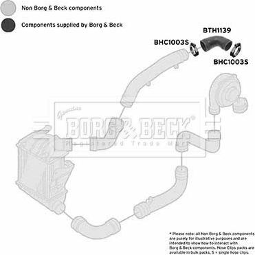 Borg & Beck BTH1139 - Въздуховод за турбината vvparts.bg