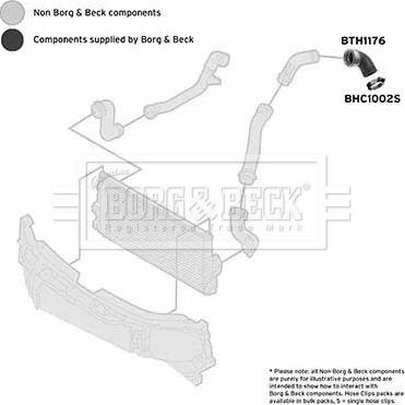 Borg & Beck BTH1176 - Въздуховод за турбината vvparts.bg