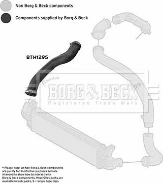 Borg & Beck BTH1295 - Въздуховод за турбината vvparts.bg