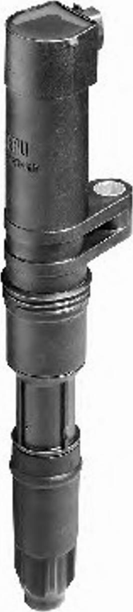 BorgWarner (BERU) 0 040 100 052 - Запалителна бобина vvparts.bg