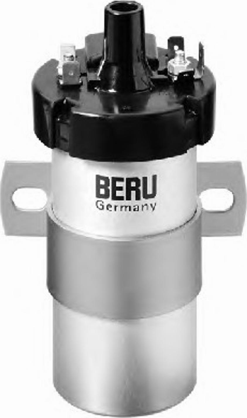 BorgWarner (BERU) 0 040 100 124 - Запалителна бобина vvparts.bg