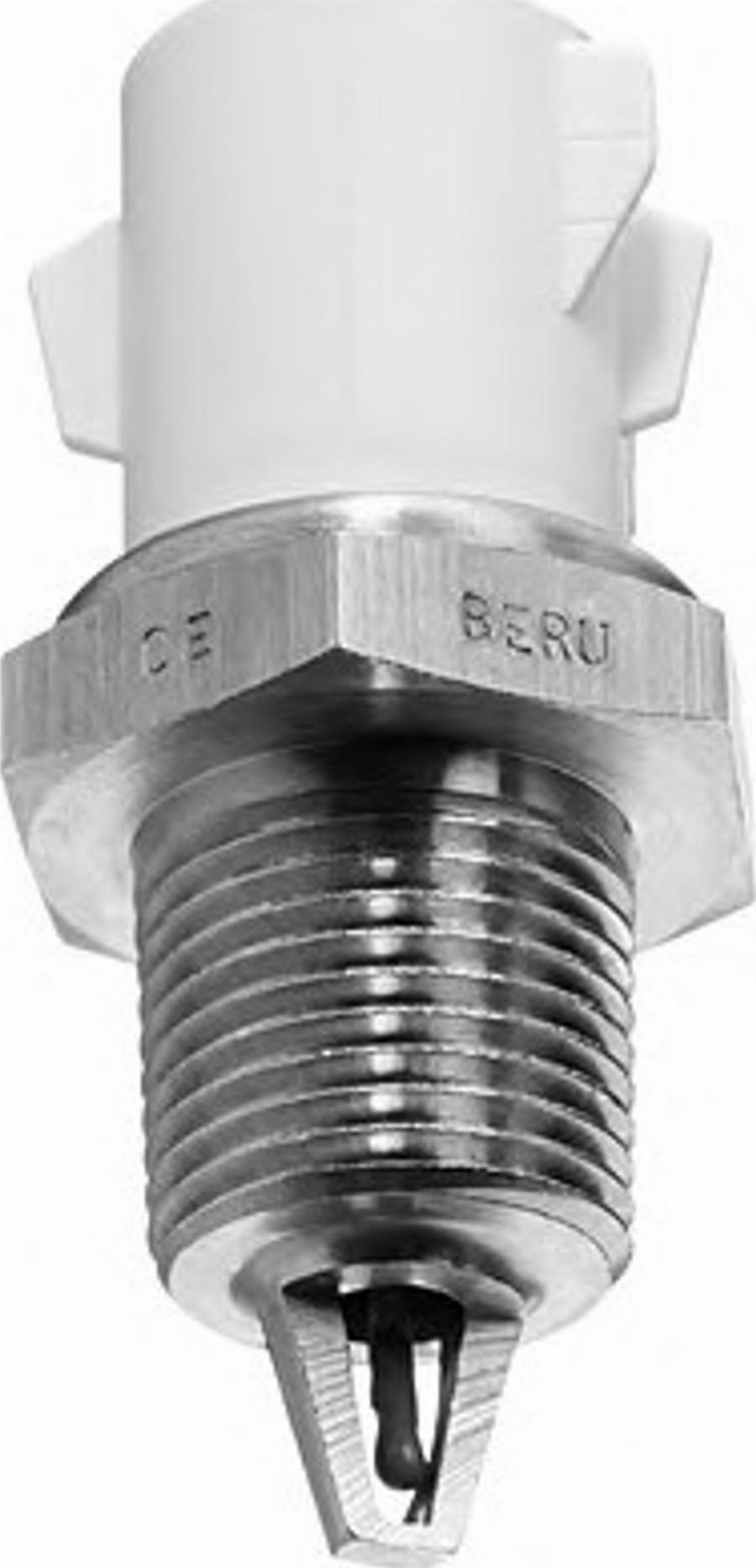 BorgWarner (BERU) 0824111008 - Датчик, температура на входящия въздух vvparts.bg