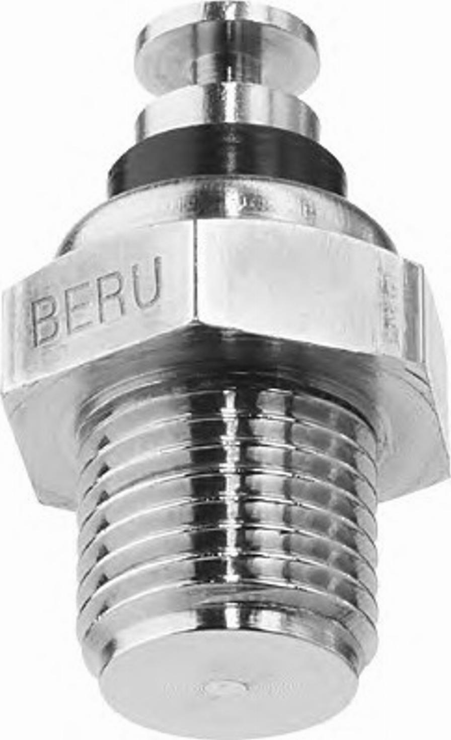 BorgWarner (BERU) 0824121102 - Датчик, температура на охладителната течност vvparts.bg