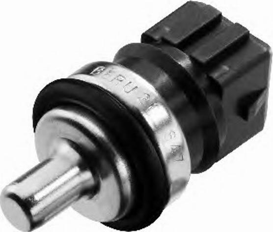 BorgWarner (BERU) 0824121175 - Датчик, температура на охладителната течност vvparts.bg